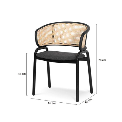 Seabreeze | Modern Coastal Metal Rattan Dining Chairs | Set Of 2